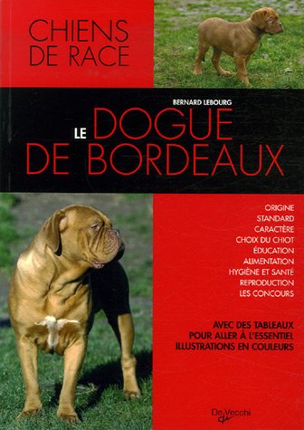 Dogue de Bordeaux par Bernard Lebourg