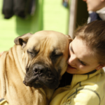 dresser un chiot